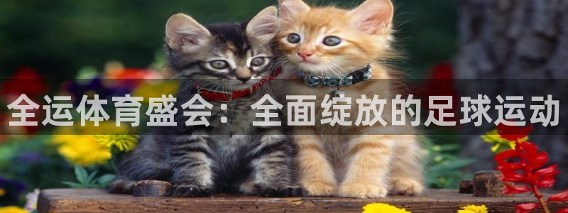  全运体育盛会：全面绽放的足球运动