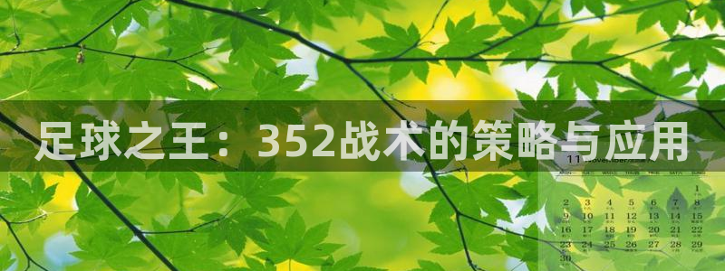 足球之王：352战术的策略与应用