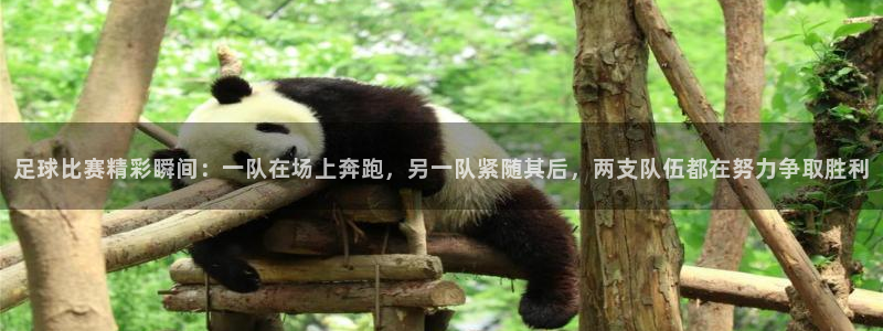 足球比赛精彩瞬间：一队在场上奔跑，另一队紧随其后，两支队伍都