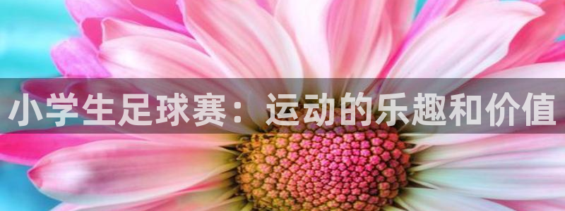  小学生足球赛：运动的乐趣和价值