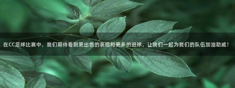 在CC足球比赛中，我们期待看到更出色的表现和更多的进球，让我