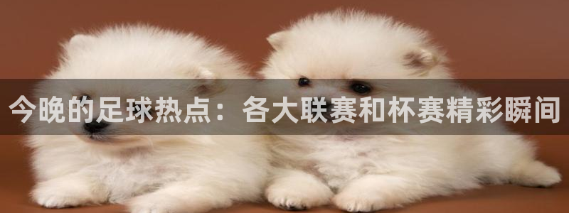  今晚的足球热点：各大联赛和杯赛精彩瞬间