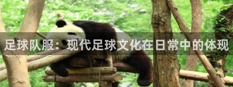 足球队服：现代足球文化在日常中的体现