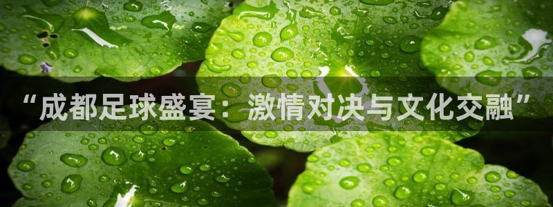 “成都足球盛宴：激情对决与文化交融”