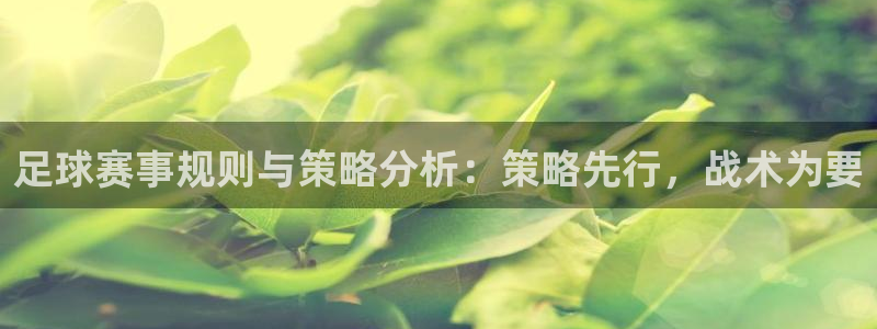  足球赛事规则与策略分析：策略先行，战术为要