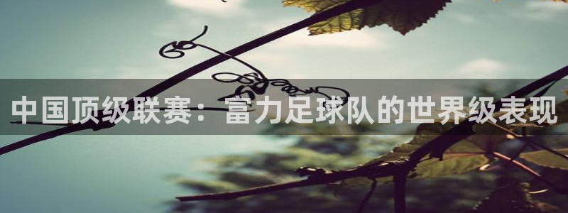  中国顶级联赛：富力足球队的世界级表现
