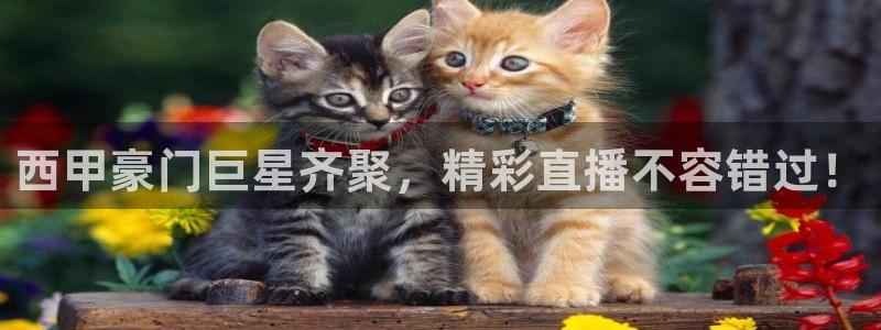 西甲豪门巨星齐聚，精彩直播不容错过！