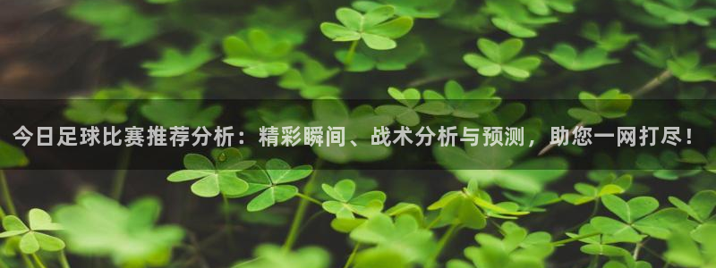  今日足球比赛推荐分析：精彩瞬间、战术分析与预测，助您一网打尽