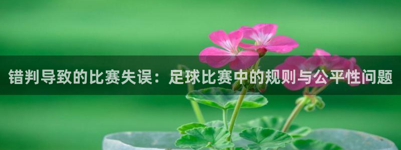  错判导致的比赛失误：足球比赛中的规则与公平性问题