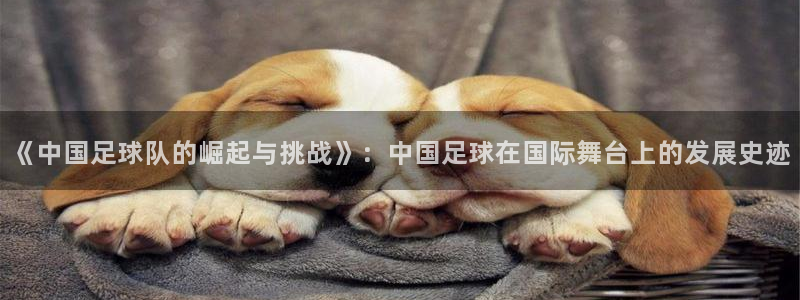 《中国足球队的崛起与挑战》：中国足球在国际舞台上的发展史迹