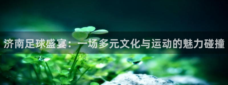  济南足球盛宴：一场多元文化与运动的魅力碰撞