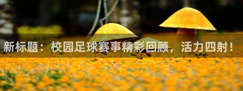 新标题：校园足球赛事精彩回顾，活力四射！