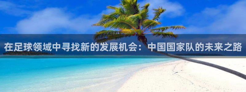  在足球领域中寻找新的发展机会：中国国家队的未来之路