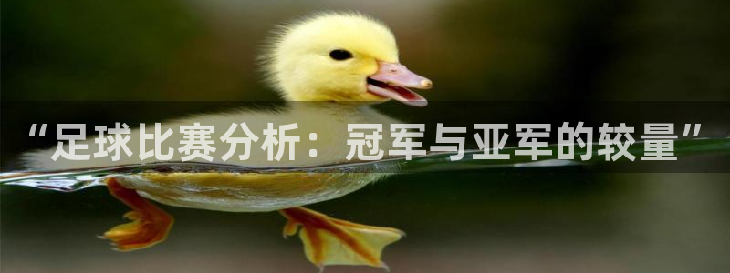  “足球比赛分析：冠军与亚军的较量”