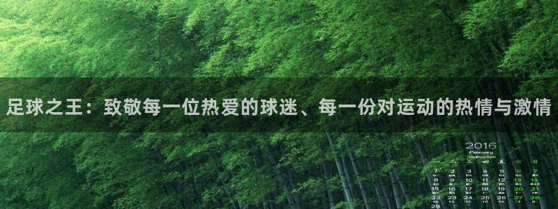  足球之王：致敬每一位热爱的球迷、每一份对运动的热情与激情