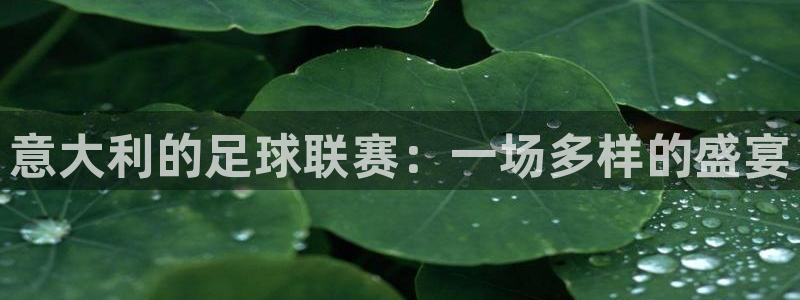  意大利的足球联赛：一场多样的盛宴