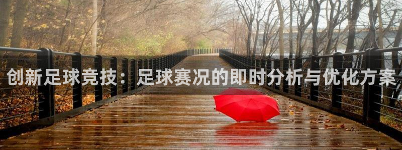  创新足球竞技：足球赛况的即时分析与优化方案