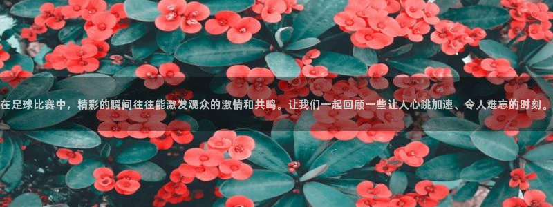 在足球比赛中，精彩的瞬间往往能激发观众的激情和共鸣。让我们一