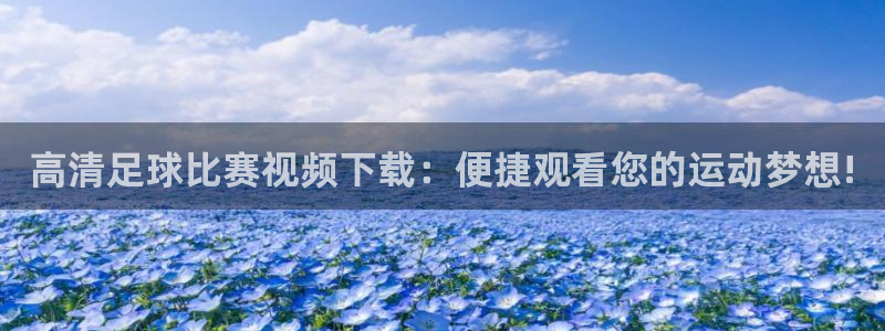  高清足球比赛视频下载：便捷观看您的运动梦想!