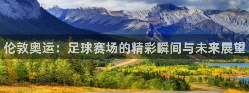 伦敦奥运：足球赛场的精彩瞬间与未来展望