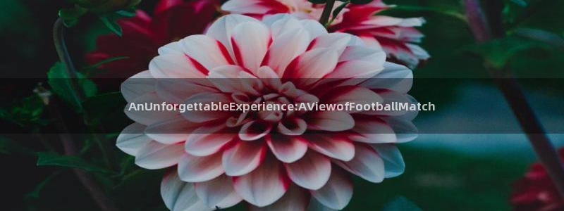 AnUnforgettableExperience:AVie