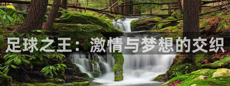 足球之王：激情与梦想的交织