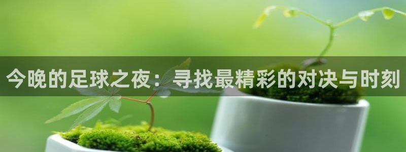  今晚的足球之夜：寻找最精彩的对决与时刻