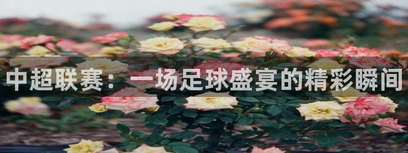  中超联赛：一场足球盛宴的精彩瞬间