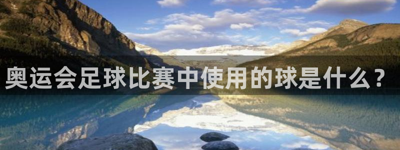 奥运会足球比赛中使用的球是什么？