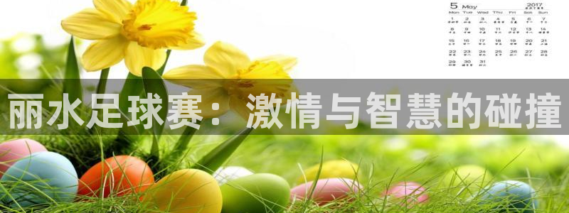 丽水足球赛：激情与智慧的碰撞