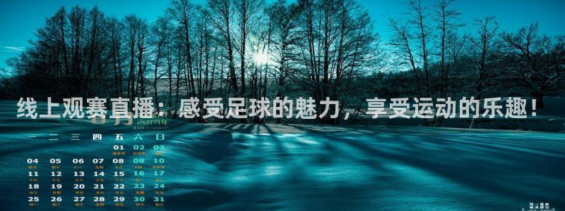  线上观赛直播：感受足球的魅力，享受运动的乐趣！