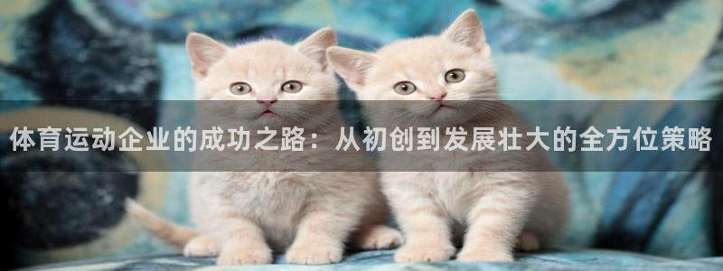 betway西汉姆联：体育运动企业的成功之路：从初创到发展壮大的全方位策略