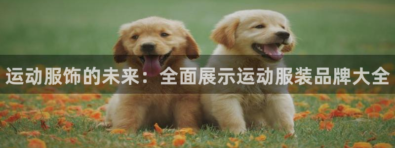 betway西汉姆：运动服饰的未来：全面展示运动服装品牌大全