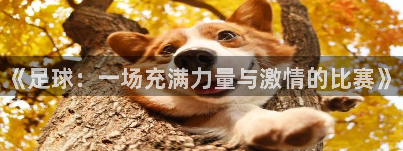 betway西汉姆：《足球：一场充满力量与激情的比赛》