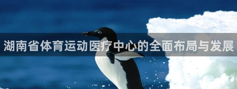 betway西汉姆：湖南省体育运动医疗中心的全面布局与发展