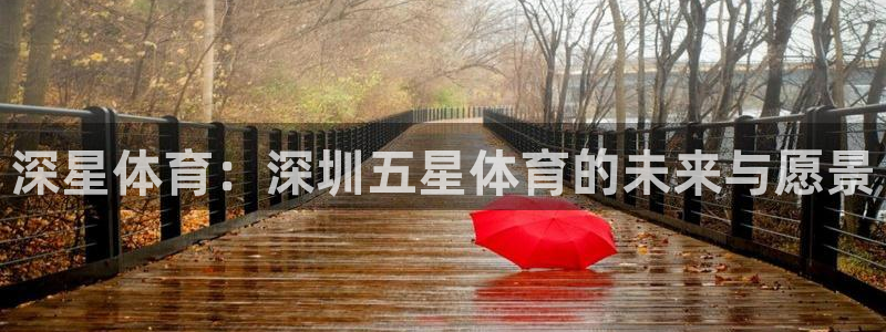 betway西汉姆联官网：深星体育：深圳五星体育的未来与愿景