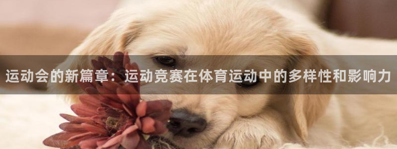 betway西汉姆联官网：运动会的新篇章：运动竞赛在体育运动中的多样性和影响力