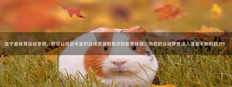 betway西汉姆：在宁夏体育运动学校，您可以找到丰富的训练资源和良好的教学环境，为您的运动梦想注入源源不断的动力！