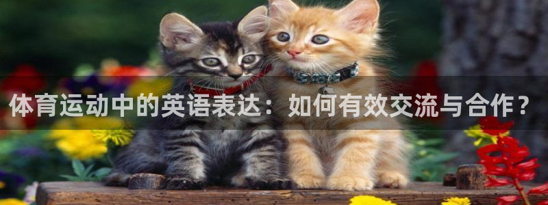 必威betway西汉姆联：体育运动中的英语表达：如何有效交流与合作？