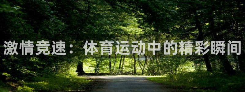 betway西汉姆联官网：激情竞速：体育运动中的精彩瞬间