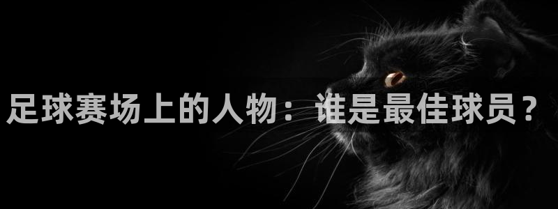 足球赛场上的人物：谁是最佳球员？