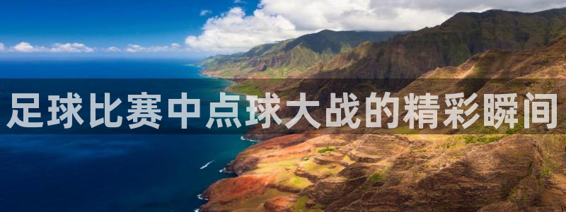 足球比赛中点球大战的精彩瞬间