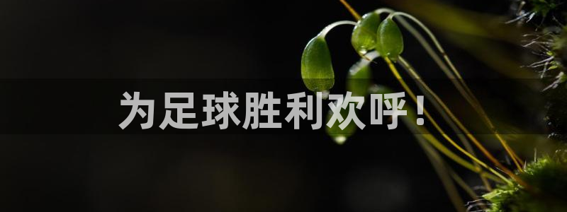 为足球胜利欢呼！