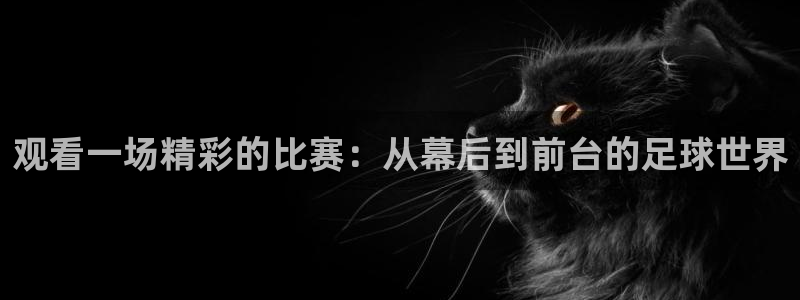 观看一场精彩的比赛：从幕后到前台的足