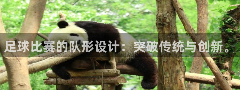 足球比赛的队形设计：突破传统与创新。