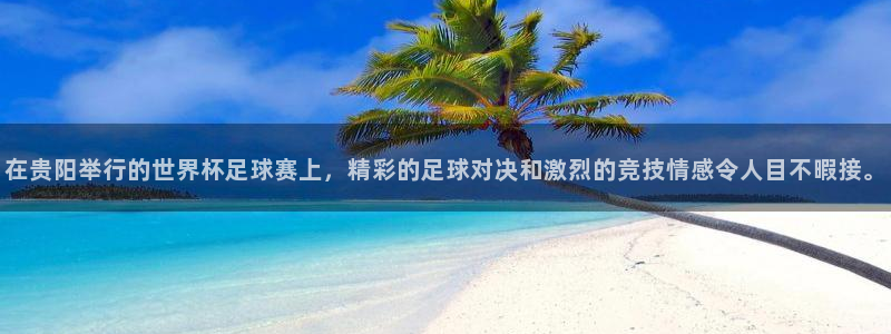 在贵阳举行的世界杯足球赛上，精彩的足