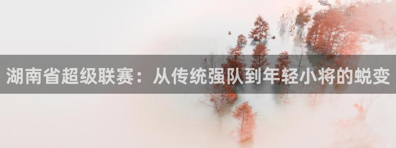 湖南省超级联赛：从传统强队到年轻小将