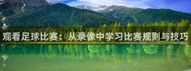 观看足球比赛：从录像中学习比赛规则与