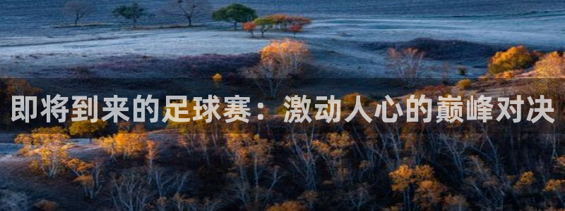 即将到来的足球赛：激动人心的巅峰对决